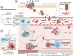 Bacteria in metastatic sites: Unveiling hidden players in cancer progression